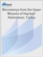 Microstonyx from the Upper Miocene of Hayranli-Haliminhani, Turkey
