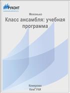 Класс ансамбля: учебная программа
