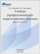 Учебная (профессионально-педагогическая) практика