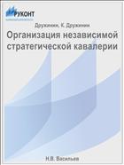 Организация независимой стратегической кавалерии