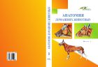 Анатомия домашних животных. Ч. 1