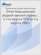 Отчет Камышинской уездной земской управы... с 1-го августа 1879 по 1-е августа 1880 г.