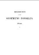 Recherches sur les ossemens fossiles de quadrup?des, ou l'on r?tablit les caract?res de plusieurs d'animaux dont les r?volutions du globe ont d?truit les esp?ces. Atlas. T. 1