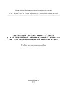 Организация системы работы с семьей в области профилактики социального сиротства на территории муниципального образования