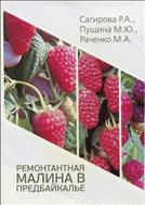 РЕМОНТАНТНАЯ МАЛИНА В ПРЕДБАЙКАЛЬЕ