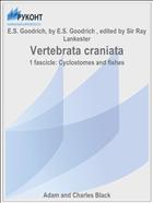 Vertebrata craniata