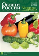 Овощи России