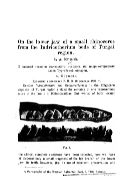 On the lower jaw of a small rhinoceros from the Indricotherium beds of Turgai region - О нижней челюсти маленького носорога из индрикотериевых слоев Тургайской области