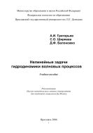 Нелинейные задачи гидродинамики волновых процессов 