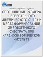 СООТНОШЕНИЕ РАЗМЕРА ЦЕРЕБРАЛЬНОГО ИШЕМИЧЕСКОГО ОЧАГА И МЕСТА ФОРМИРОВАНИЯ ЭМБОЛОГЕННОГО СУБСТРАТА ПРИ КАРДИОЭМБОЛИЧЕСКОМ ИНСУЛЬТЕ
