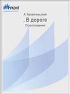 . В дороге