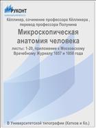 Микроскопическая анатомия человека