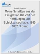 Meine Schriften aus der Emigration Die Zeit der Hoffnungen und Schicksalsschlage. 1860-1862. 3 Band