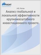 Анализ глобальной и локальной эффективности крупномасштабного инвестиционного проекта