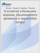 О встречах в Калмыкии морянки, обыкновенного фламинго и чернозобой гагары
