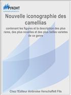 Nouvelle iconographie des camellias