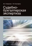 Судебно-бухгалтерская экспертиза. Практикум