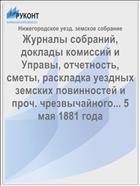Журналы собраний, доклады комиссий и Управы, отчетность, сметы, раскладка уездных земских повинностей и проч. чрезвычайного... 5 мая 1881 года