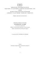 Производственная практика 