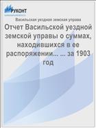Отчет Васильской уездной земской управы о суммах, находившихся в ее распоряжении... ... за 1903 год