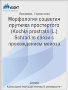 Морфология соцветия прутняка простертого (Kochia prostrata (L.) Schrad.)в связи с прохождением мейоза 