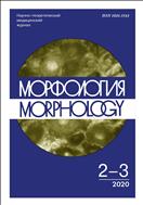 Морфология №2 2020