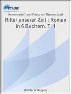 Ritter unserer Zeit : Roman in 6 Buchern. T. 1