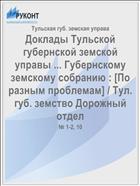Доклады Тульской губернской земской управы ... Губернскому земскому собранию : [По разным проблемам] / Тул. губ. земство Дорожный отдел