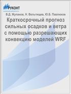 Краткосрочный прогноз сильных осадков и ветра с помощью разрешающих конвекцию моделей WRF