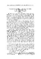 ber die Unterfamilie Indricotheriinae Boriss. - Baluchitheriinae Osb.