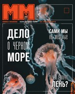 Машины и механизмы