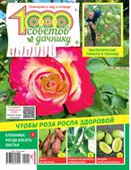 1000 советов дачнику