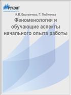 Феноменология и обучающие аспекты начального опыта работы