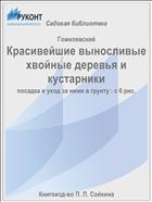 Красивейшие выносливые хвойные деревья и кустарники