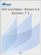 Soll und Haben : Roman in 6 Buchern. T. 2