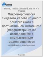 Микроморфология пищевого желоба крупного рогатого скота в постнатальном онтогенезе (морфометрическое исследование с компьютерным моделированием)