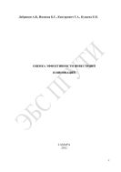 Оценка эффективности инвестиций и инноваций