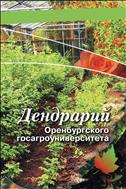 Дендрарий Оренбургского госагроуниверситета.
